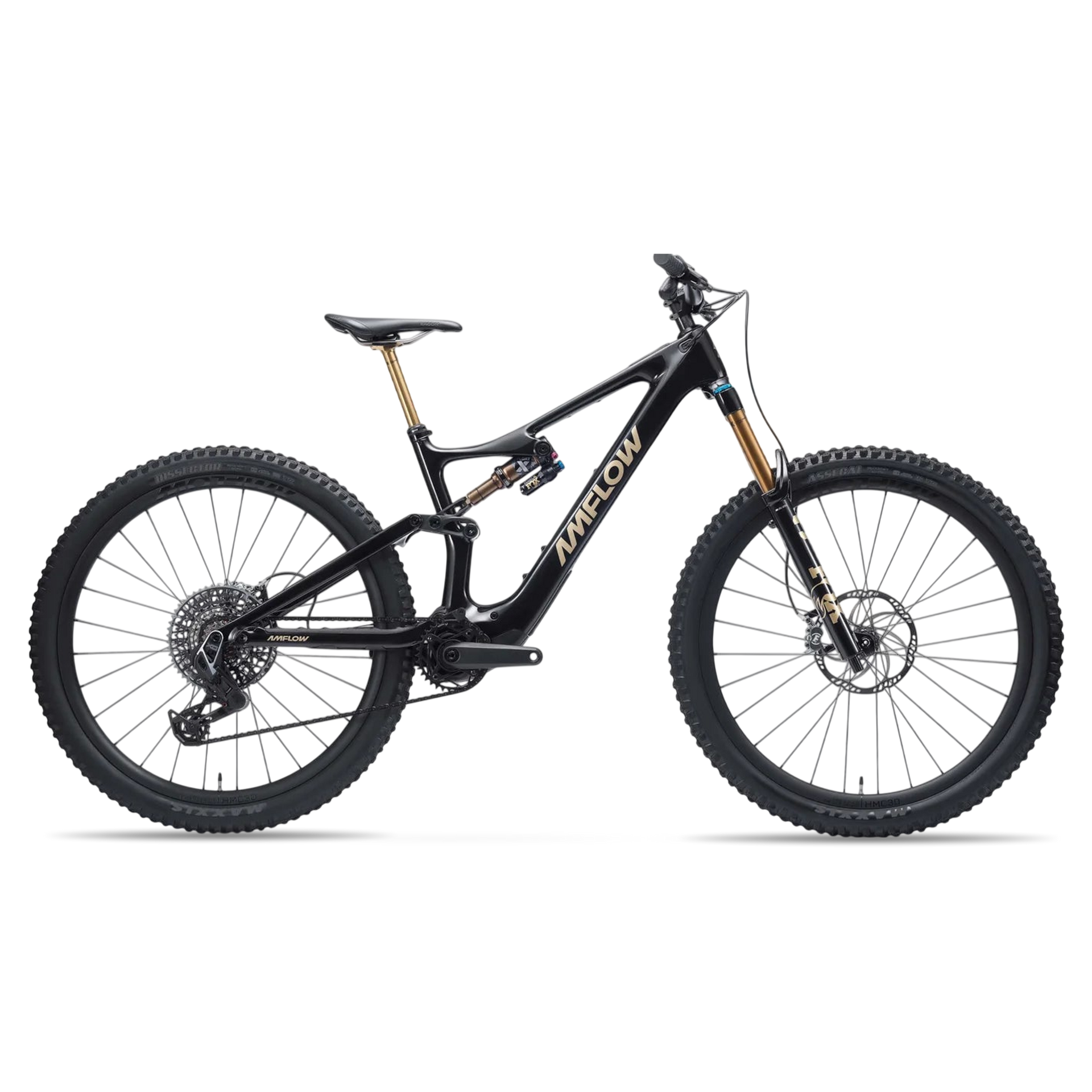 Amflow PL Carbon Pro 800Wh, vue d'ensemble