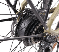 Maui Bronte 2026, moteur