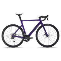 Sava Aurora X, variante de couleur