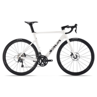 Sava Aurora X, variante de couleur
