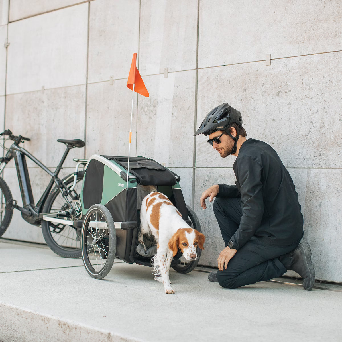 Thule Bexey M, contenu