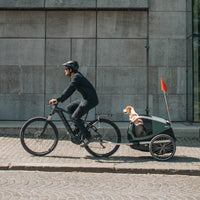 Thule Bexey M, contenu