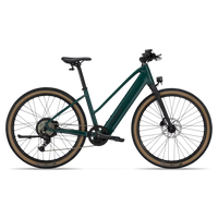 Trek FX + 1 Midstep, vue d'ensemble