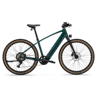 Trek FX + 1 Stepover, vue d'ensemble
