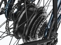 Trek Townie Go !, transmission