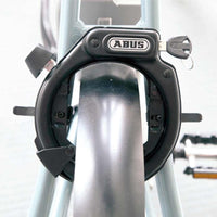 Cadenas de cadre Abus Pro Tectic 4960, accessoire