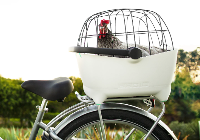 Panier pour animal Electra Basil, accessoire