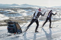 Thule Chariot Cross 2, produit