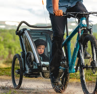 Thule Chariot Cross 2, produit